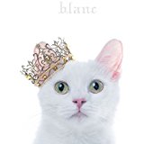 Aimer