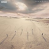 BiSH プロミスザスター BE@RBRICK盤