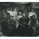 パイナップル・シーフ The Pineapple Thief