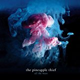 パイナップル・シーフ The Pineapple Thief