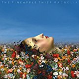 パイナップル・シーフ The Pineapple Thief