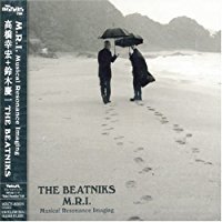 THE BEATNIKS ザ・ビートニクス
